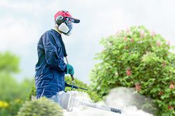 Обработка сада от паразитов - необходимые меры и их регулярность  в Уфе